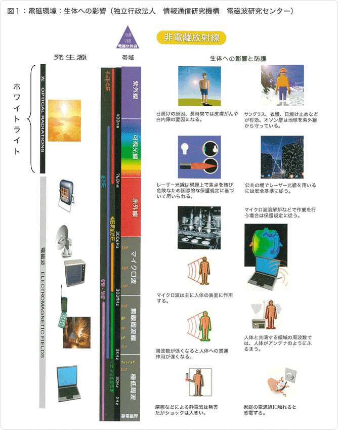 図１：電磁環境：生体への影響（独立行政法人　情報通信研究機構　電磁波研究センター）