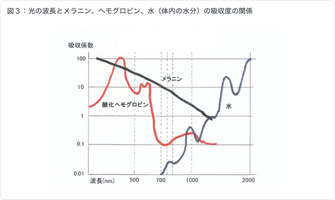 図３：光の波長とメラニン、ヘモグロビン、水（体内の水分）の吸収度の関係