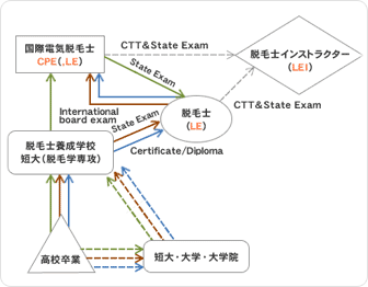 脱毛士そしてCPEになるためのプロセスについて         